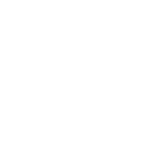 Logo-Wolks-1024x1024